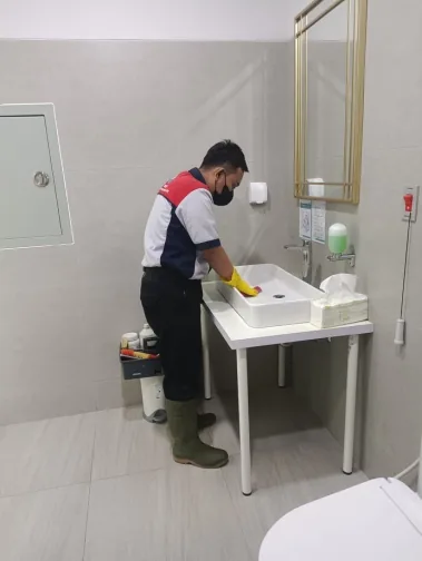 Cleaning Service